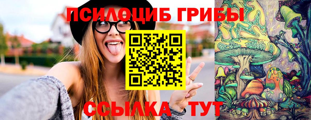 Псилоцибиновые грибы прущие грибы Шахты