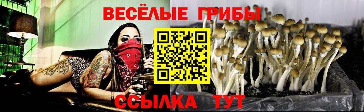 наркошоп  Псилоцибиновые грибы ЛСД  Вход с VPN  Шахты 